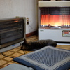 あったかいにゃあ
