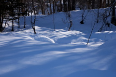 初春の残雪