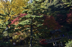 人で賑わう
