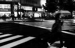 Sapporo Snap