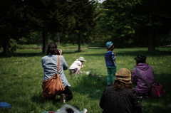 Sapporo Snap