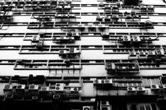 Hongkong Snap