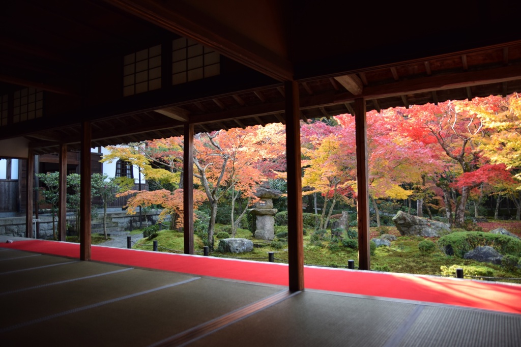 圓光寺 早朝特別拝観１