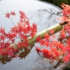 圓光寺 早朝特別拝観２ 水琴窟
