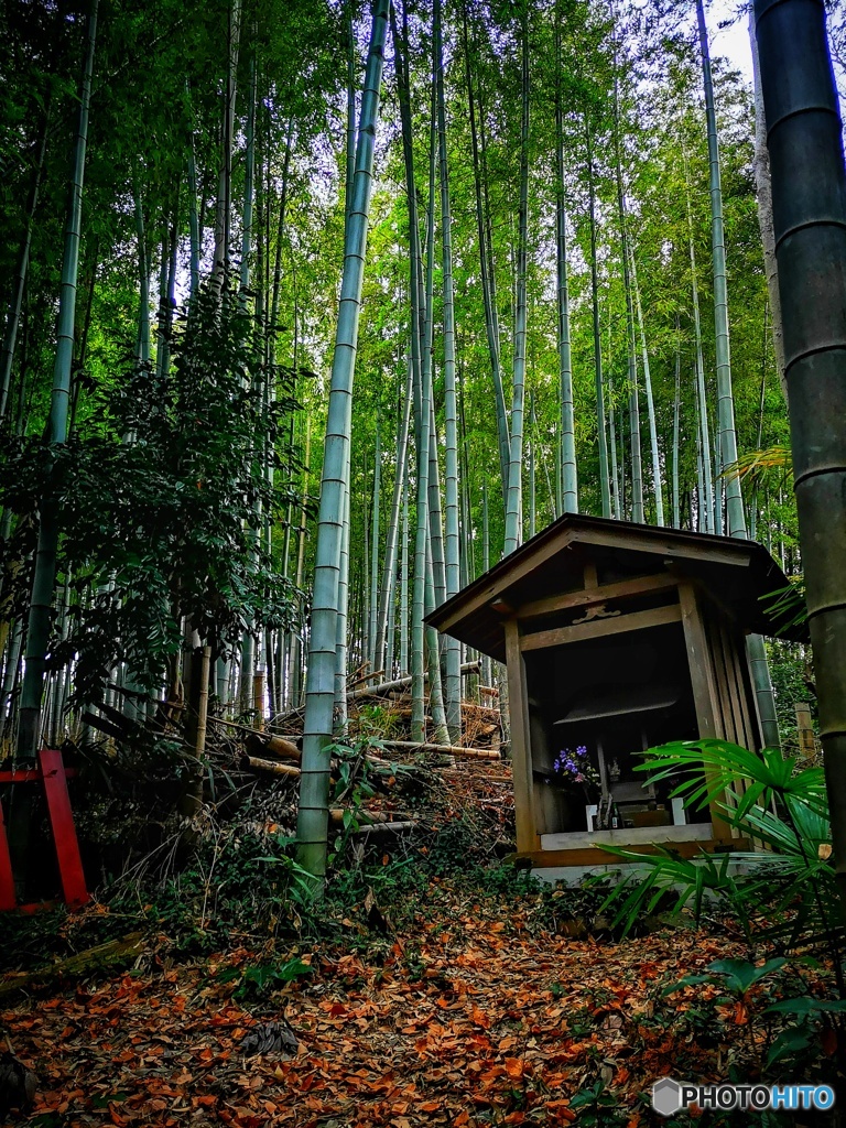 EYES -祠-