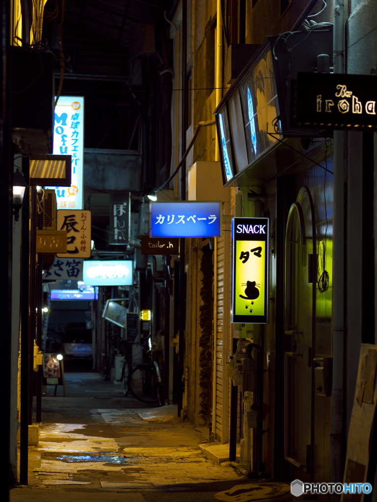 甲州行脚 -タマ-
