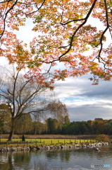 TSUKUBA PARK