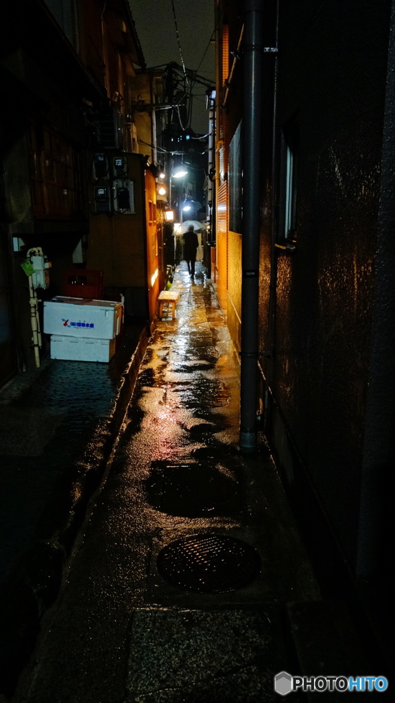 雨の訪問者