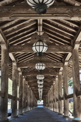 長谷寺詣