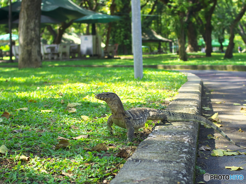 Bangkok City Walk 13