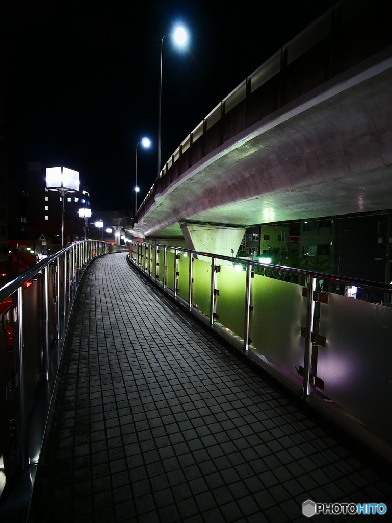NIGHT BIRD 3