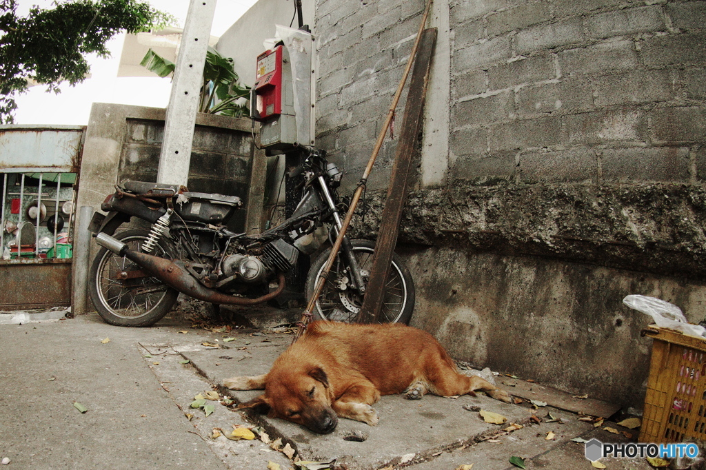 Bangkok City Walk 8