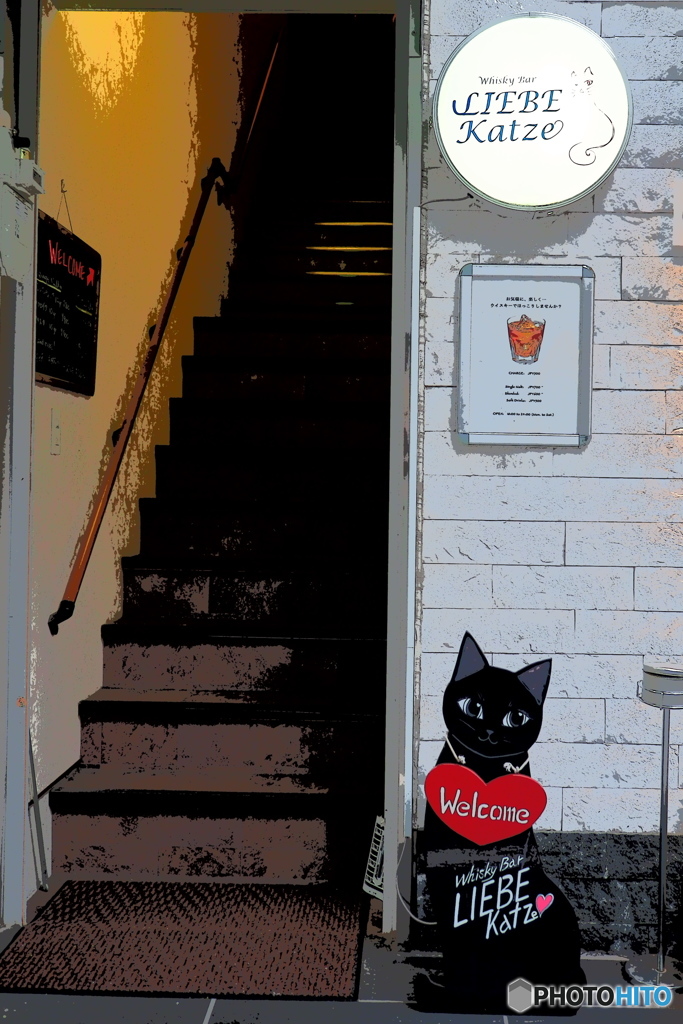 DISPLAY -Katze-