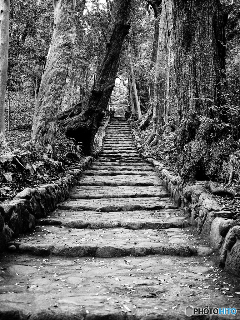 伊豆大島_大宮神社【壱】