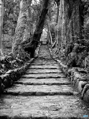 伊豆大島_大宮神社【壱】