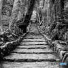 伊豆大島_大宮神社【壱】