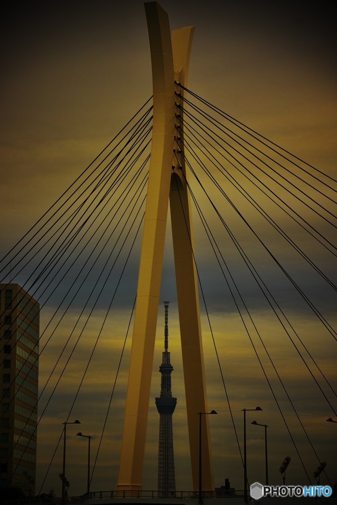 Tower and Bridge