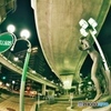 NIGHT BRIDGE 1