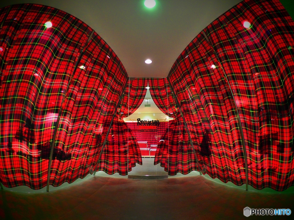 TARTAN BUTTERFLY