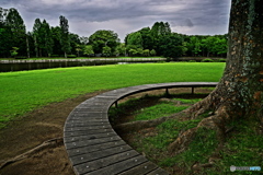 ６月の公園