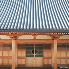 迎春 -2025-