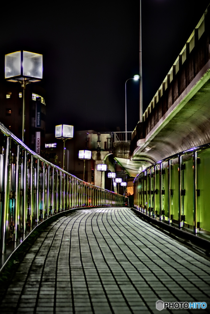 NIGHT BRIDGE 5