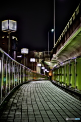 NIGHT BRIDGE 5