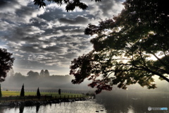 11月の公園　-暗雲-