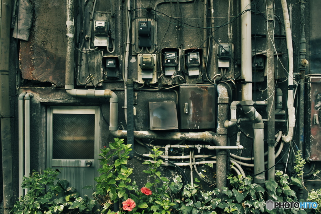 MITO WALK 18