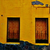 THE WALL 