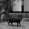 Bangkok City Walk 5