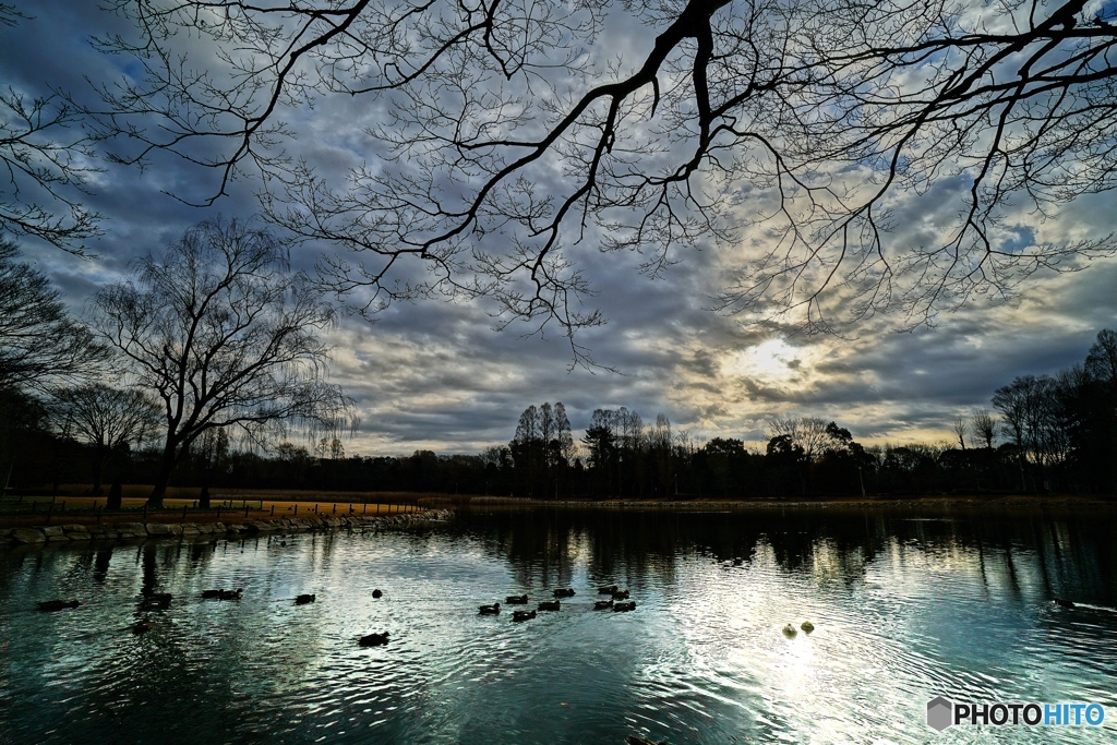 ２月の公園