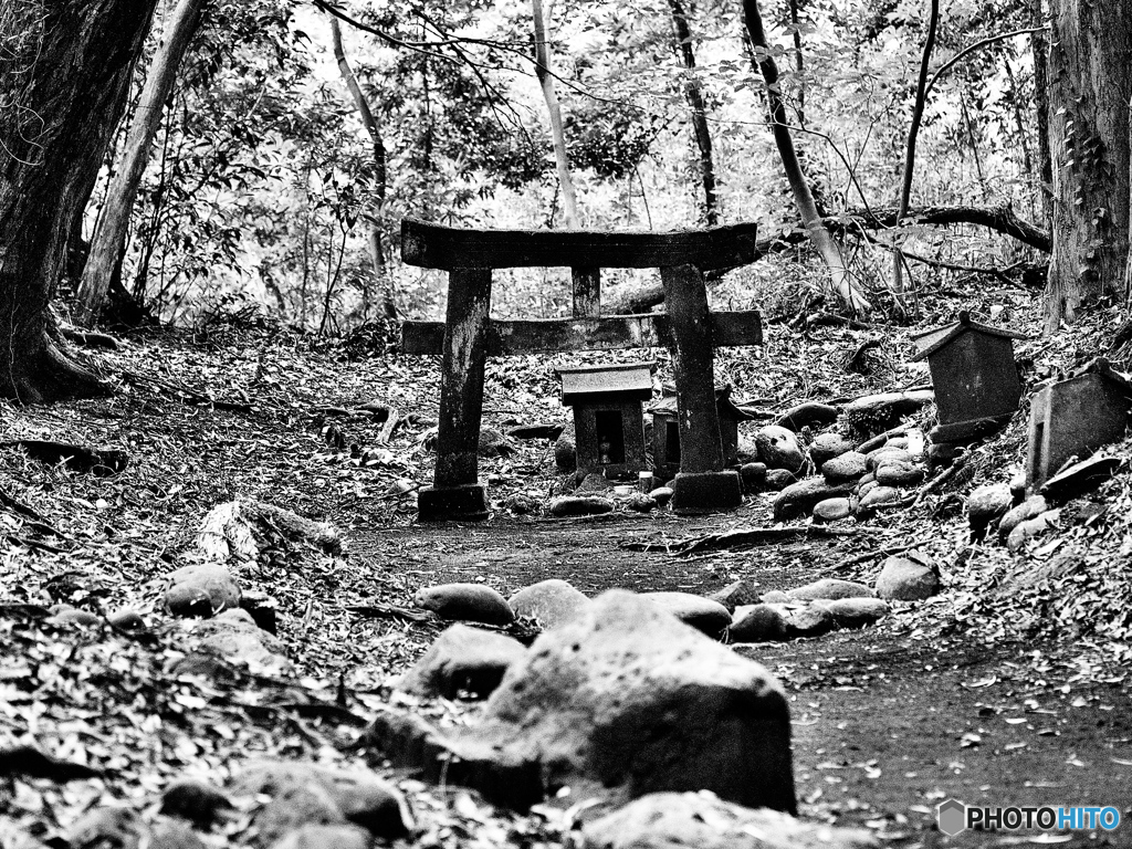 伊豆大島_大宮神社【弐】