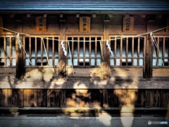 SHINTO 2