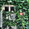 街角点描 -Green-