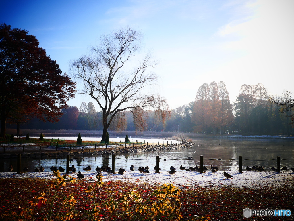 １１月の公園