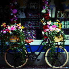 DISPLAY -春-