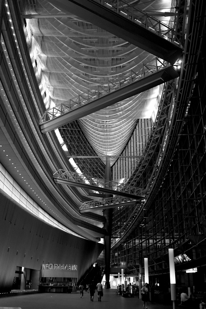 国際フォーラム