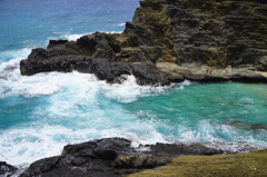 海