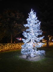 クリスマスツリー