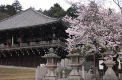 二月堂