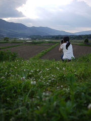 田舎