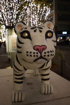 トラ
