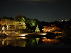 六義園のライトアップ