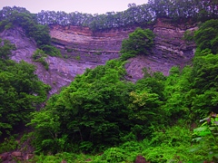 ヨウバケ(陽　崖)陽の当たる崖