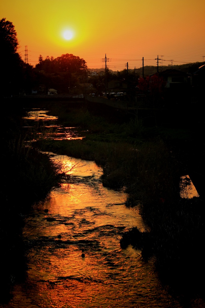 夕陽に照らされて