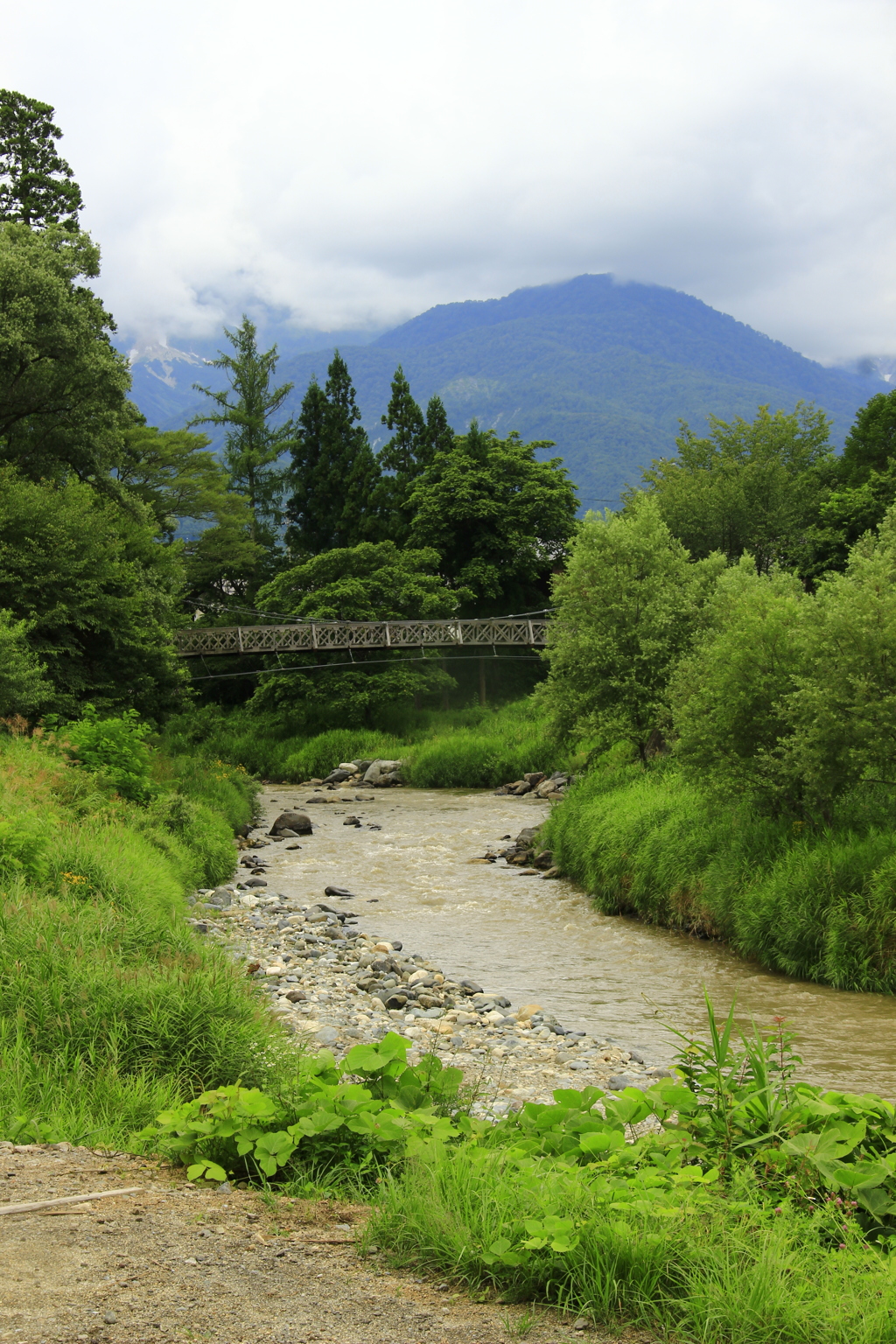 白馬大出の吊り橋