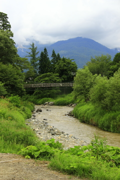 白馬大出の吊り橋