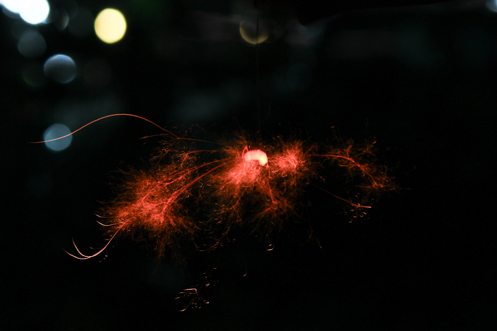 最後の輝き （線香花火）