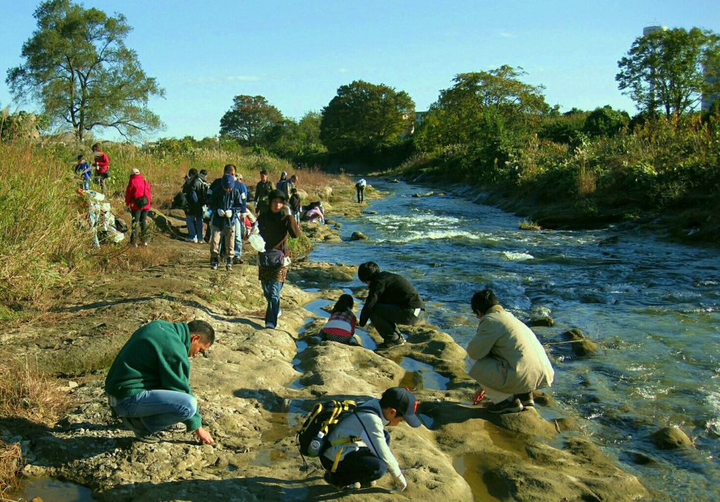 化石発堀体験会